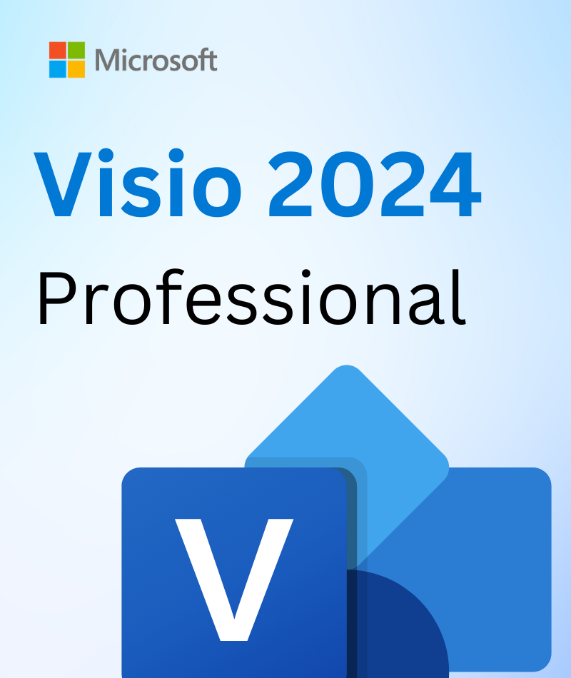 viiso 2024 professional