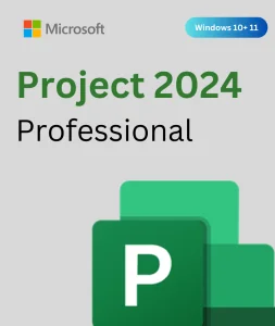 project 2024 professional