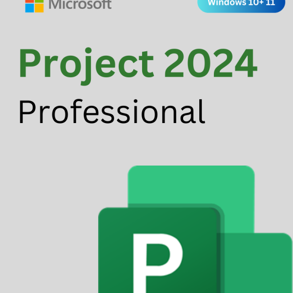 project 2024 professional