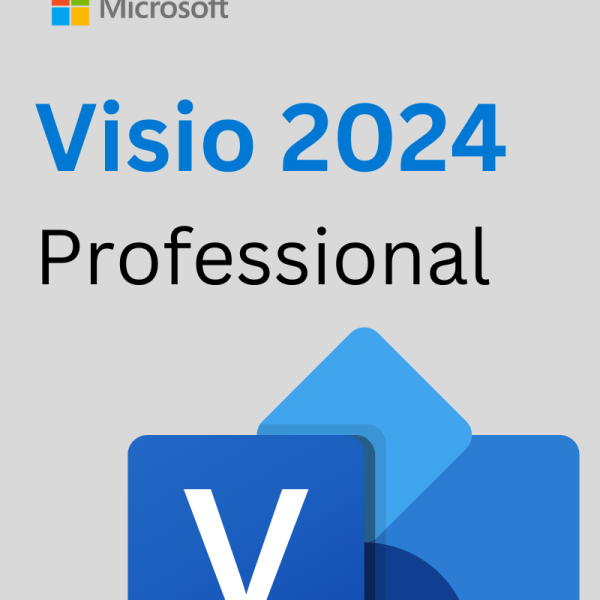 visio 2024 professional