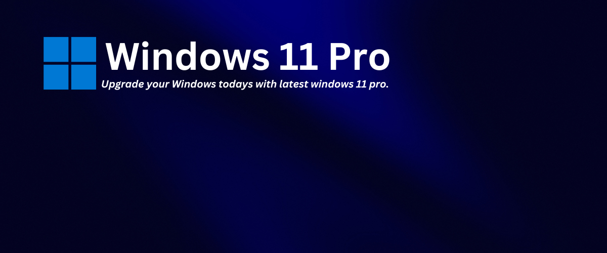 windows 11 pro